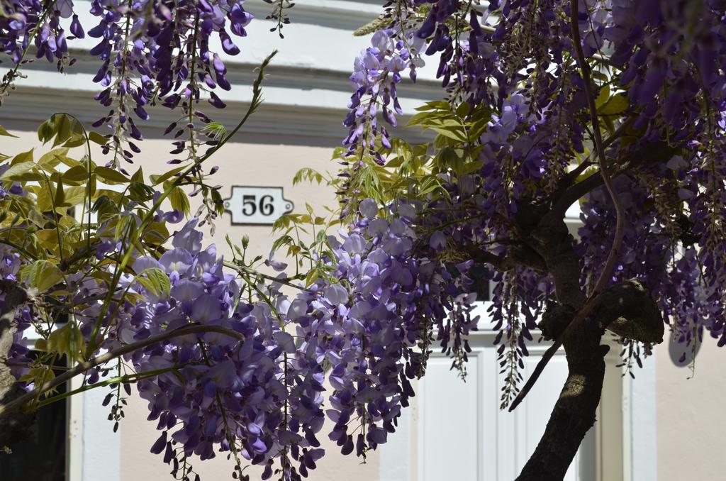 לינה וארוחת בוקר פונטנבלו Wisteria מראה חיצוני תמונה